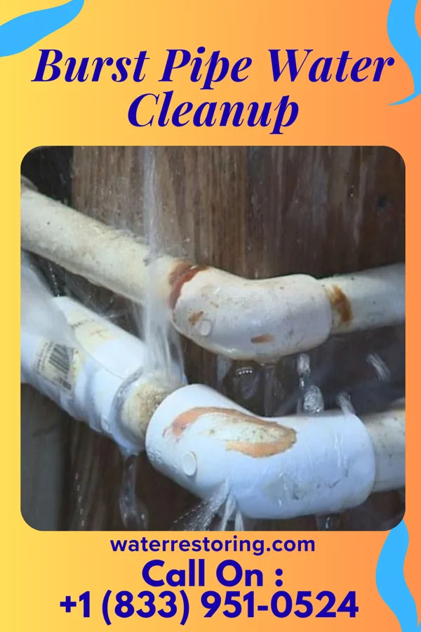 Burst Pipe Water Cleanup in Flushing, MI