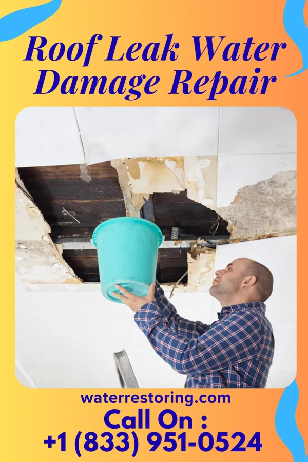 Roof Leak Water Damage Repair in Flushing, MI