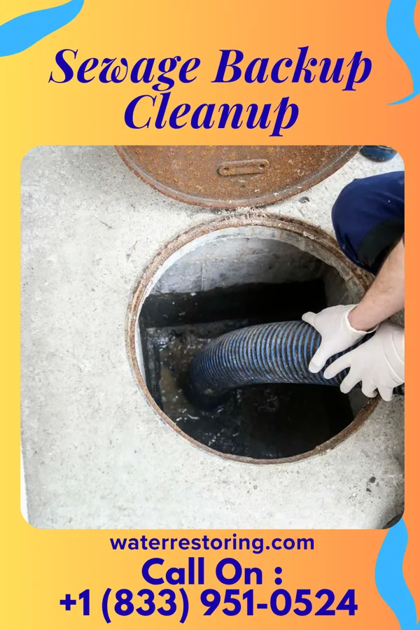 Sewage Backup Cleanup in Flushing, MI