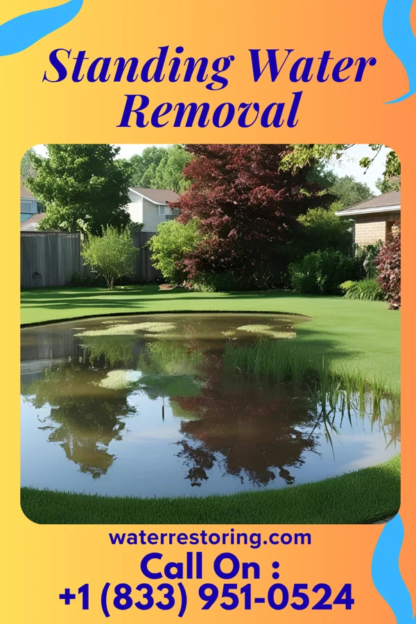 Standing Water Removal in Flushing, MI